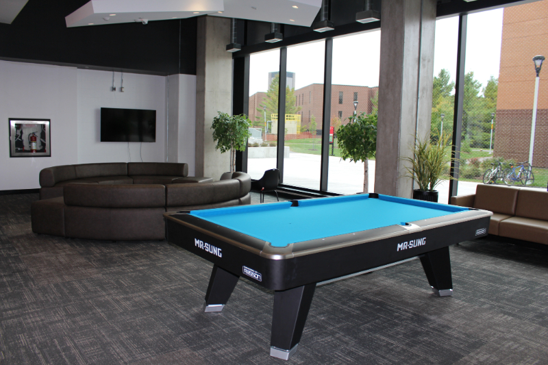 Media Room in Rideau House featuring a pool table, couches, and a TV.
