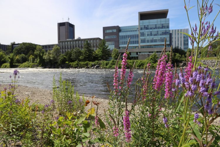 Picture of Carleton campus from across the Rideau River.